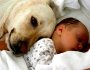 Human skin microbiota partly shared with our dog